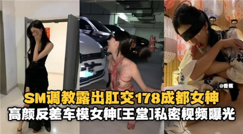 178成都车模女神SM调教，肛交露出骚穴被干爆